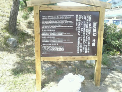 鳥取へ日帰りバス旅行　白兎神社　　平成30年8月26日