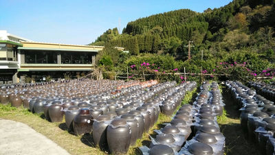 宮崎、鹿児島旅行　平成３０年１２月１５日