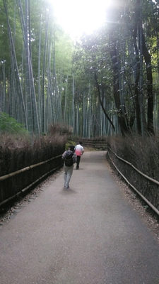 嵐山の竹林　令和３年１０月４日