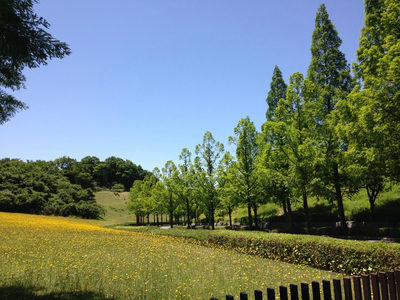 H28.6.3 神戸市　しあわせの村