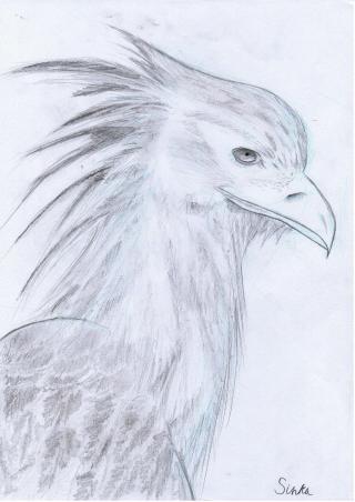 もしも、もりやんが鳥になったら・・・画像
