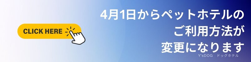 ドッグマッサージ・トリミング・ペットホテル トレーニング・飼育相談・栄養相談・在宅介護.jpg