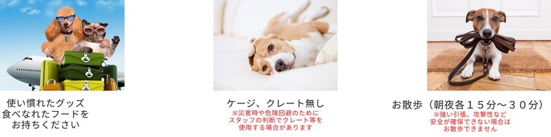 ドッグマッサージ・トリミング・ペットホテル トレーニング・飼育相談・栄養相談・在宅介護 (1).jpg