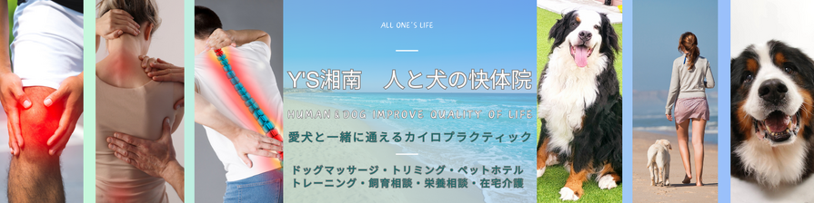img_20250929-195805.png