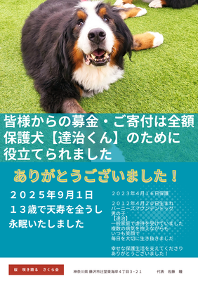 達治くん870日の保護療養生活　2025年9月1日13歳で永眠しました