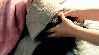 ヘッドマッサージ